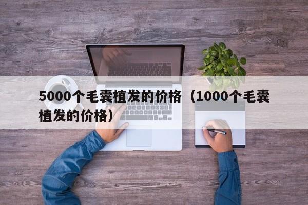 5000个毛囊植发的价格(1000个毛囊植发的价格)