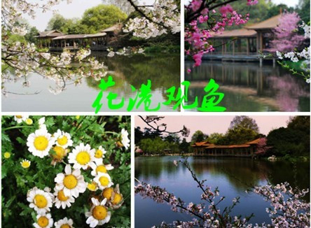 杭州十大赏花胜地2025年排行榜前十名榜单出炉