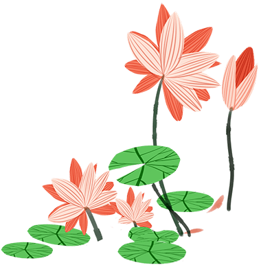 深圳十大赏荷花好去处2025年排行榜前十名榜单出炉