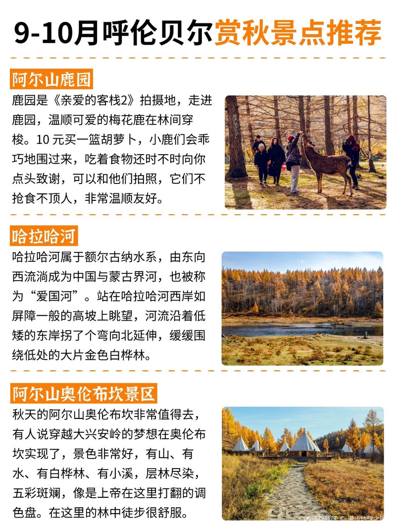 阿尔山秋季旅游好去处2025年排行榜前十名榜单出炉