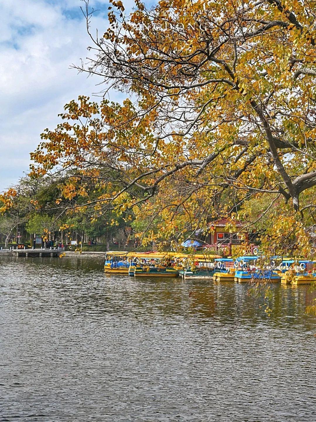 汕头适合亲子游的地方2025年排行榜前十名榜单出炉