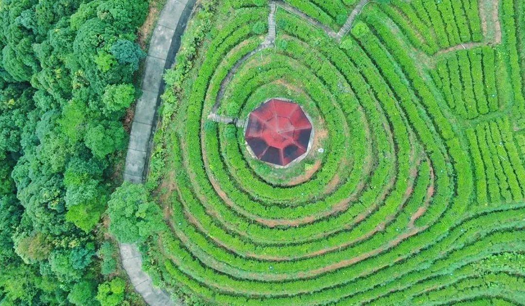 龙岩十大适合春季旅游的地方2025年排行榜前十名榜单出炉 龙岩十大适合春季旅游的地方2025年排行榜前十名榜单出炉