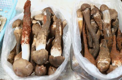 昆明十大美食街2025年排行榜前十名榜单出炉