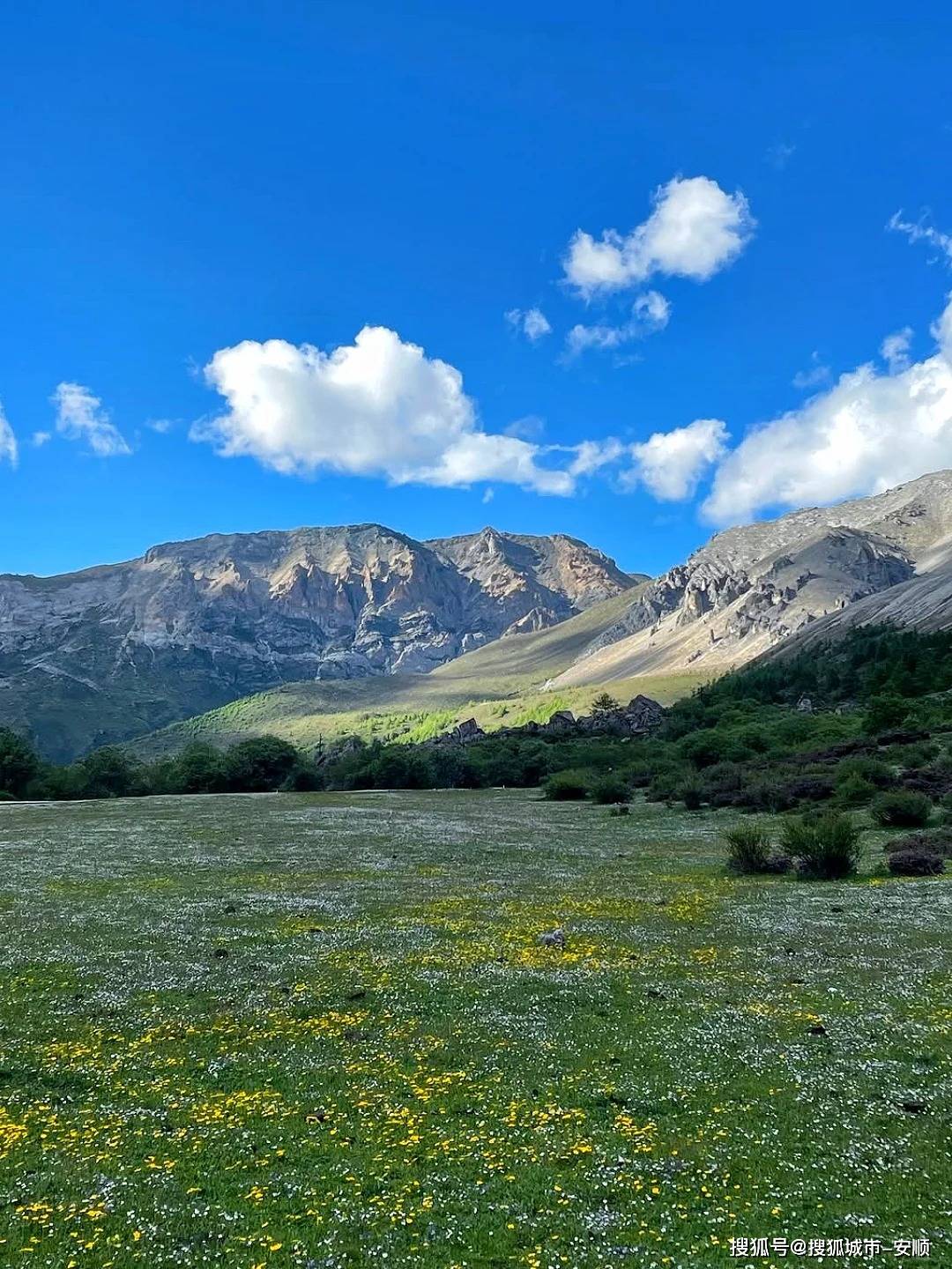 四川十大适合亲子旅游的地方2025年排行榜前十名榜单出炉