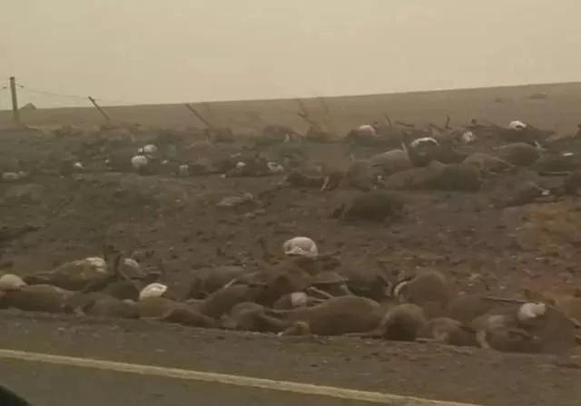 2020年QS加拿大大学前十名2025年排行榜前十名榜单出炉 2020年QS加拿大大学前十名2025年排行榜前十名榜单出炉