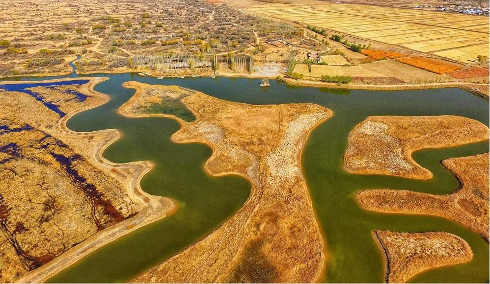 宁夏十大著名度假村2025年排行榜前十名榜单出炉