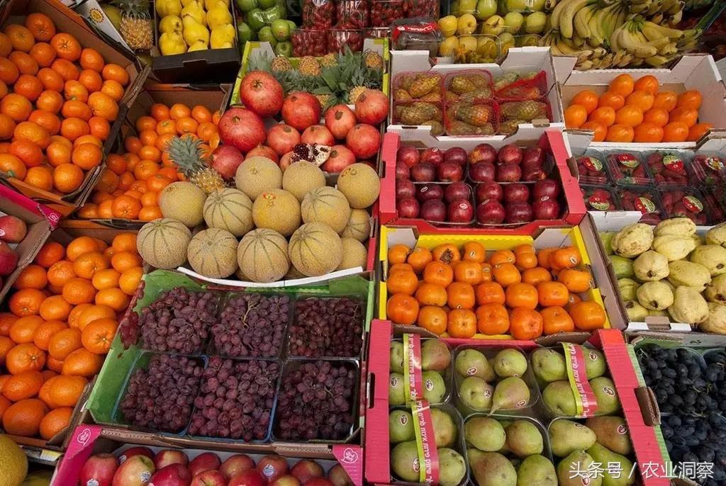 中国最常见的10种水果2025年排行榜前十名榜单出炉 中国最常见的10种水果2025年排行榜前十名榜单出炉
