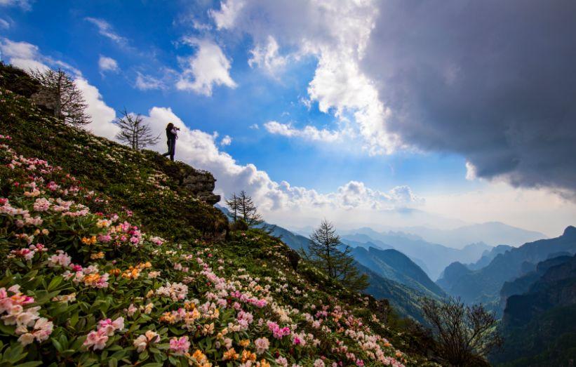 陕西十大适合春季旅游的地方2025年排行榜前十名榜单出炉 陕西十大适合春季旅游的地方2025年排行榜前十名榜单出炉