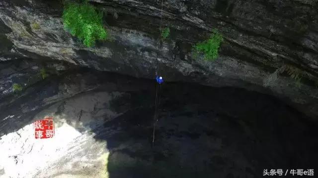 汉中著名地理标志保护产品2025年排行榜前十名榜单出炉