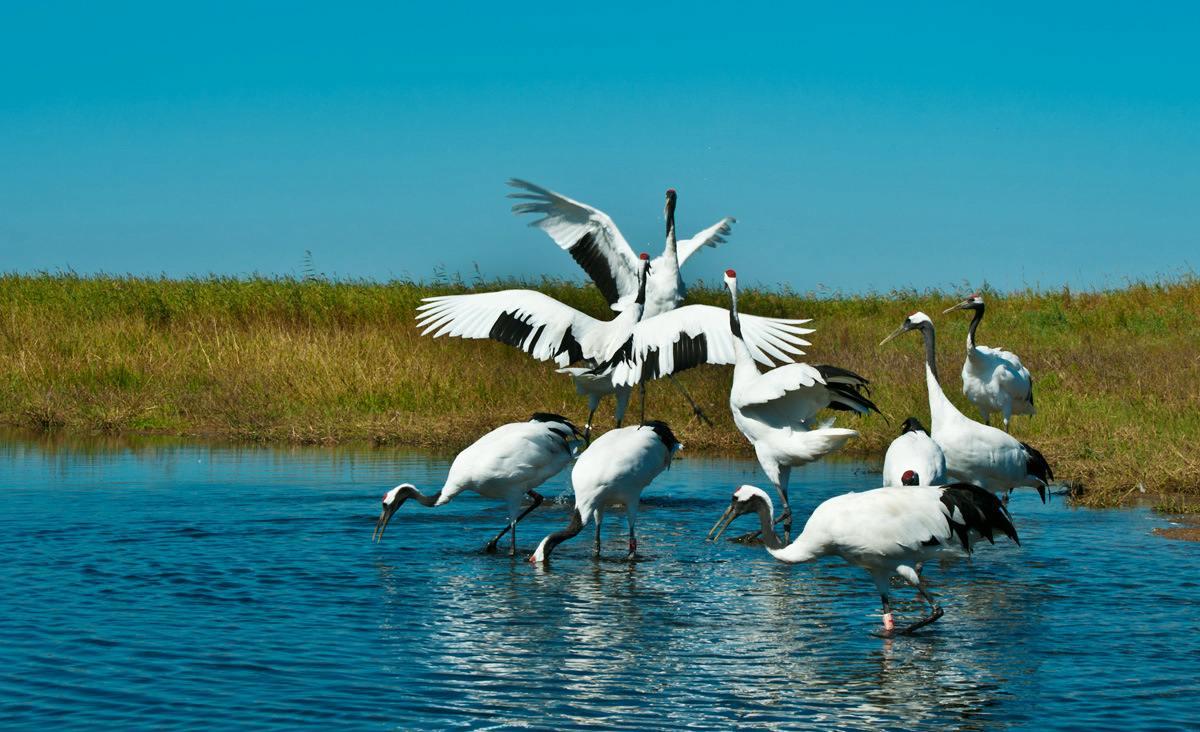 哈尔滨十大旅行社2025年排行榜前十名有哪些 哈尔滨十大旅行社2025年排行榜前十名有哪些