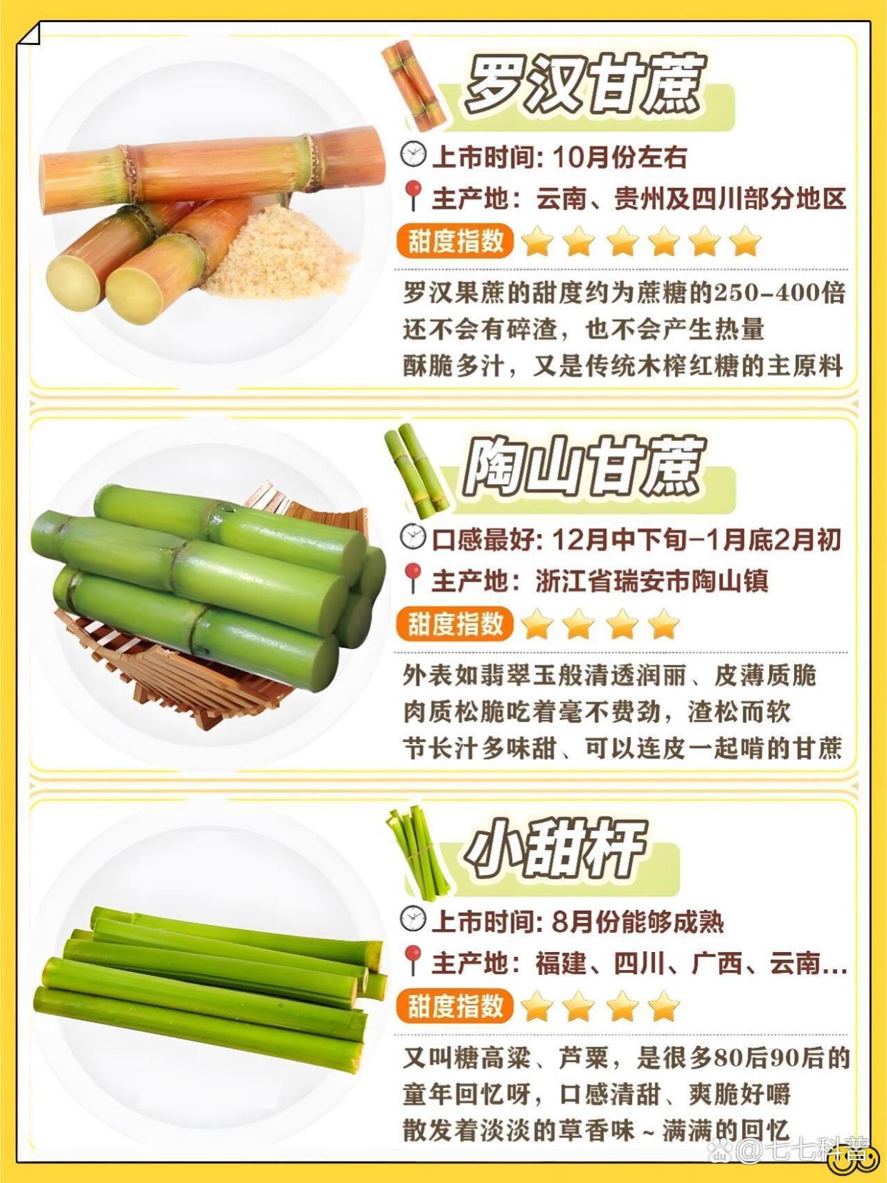 甘蔗十大品种2025年排行榜前十名榜单出炉 甘蔗十大品种2025年排行榜前十名榜单出炉