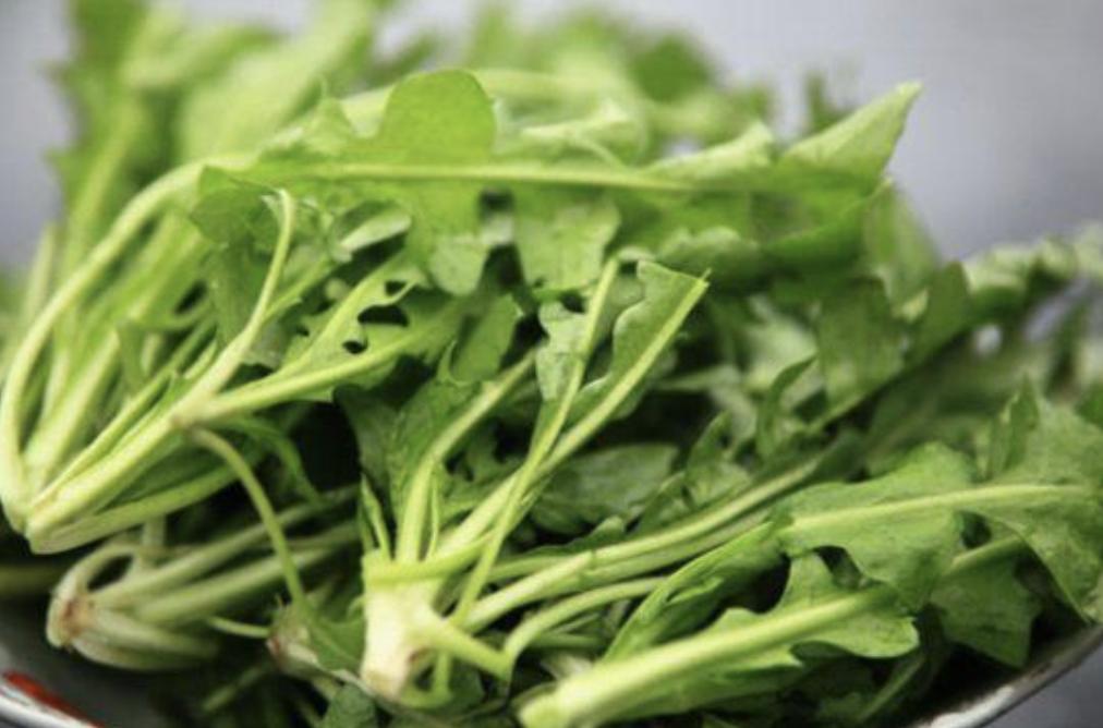 上海十大适合春季旅游的地方2025年排行榜前十名榜单出炉