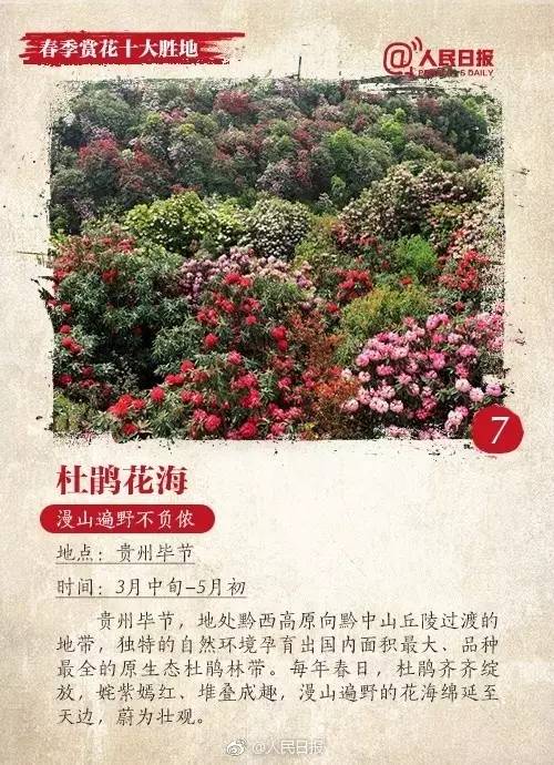 新疆十大赏花胜地2025年排行榜前十名榜单出炉