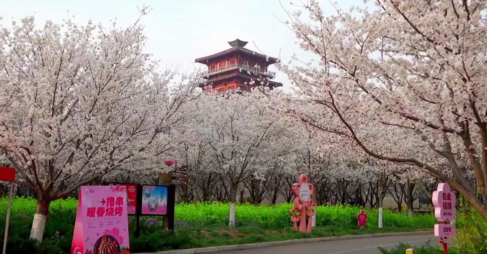 郑州十大赏花胜地2025年排行榜前十名榜单出炉