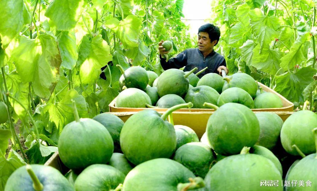全国十大香瓜产地2026年排行榜前十名榜单出炉