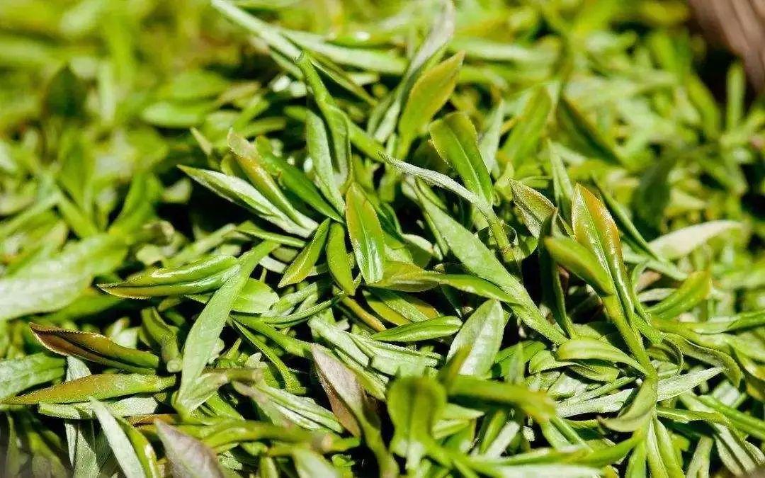 杭州十大城市名片2025年排行榜前十名榜单出炉