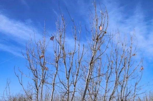 昆明十大爬山好去处2025年排行榜前十名榜单出炉