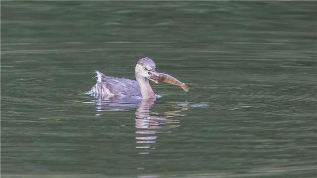 中山十大钓鱼好地方2025年排行榜前十名榜单出炉
