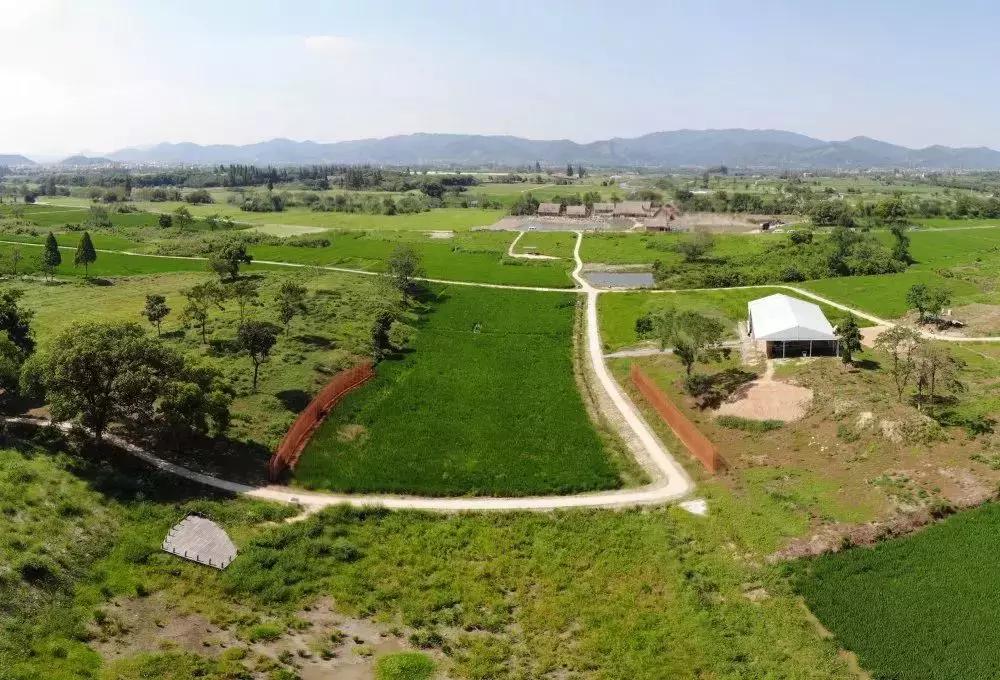 中国十大遗址公园2025年排行榜前十名榜单出炉