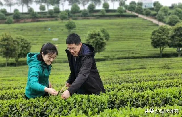 长沙市望城区十大著名旅游景点2026年排行榜前十名榜单出炉