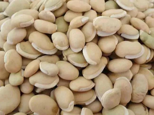 最受欢迎的10种养生豆2025年排行榜前十名榜单出炉