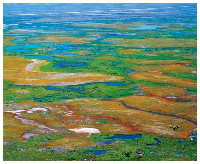 世界十大最美沼泽2025年排行榜前十名榜单出炉