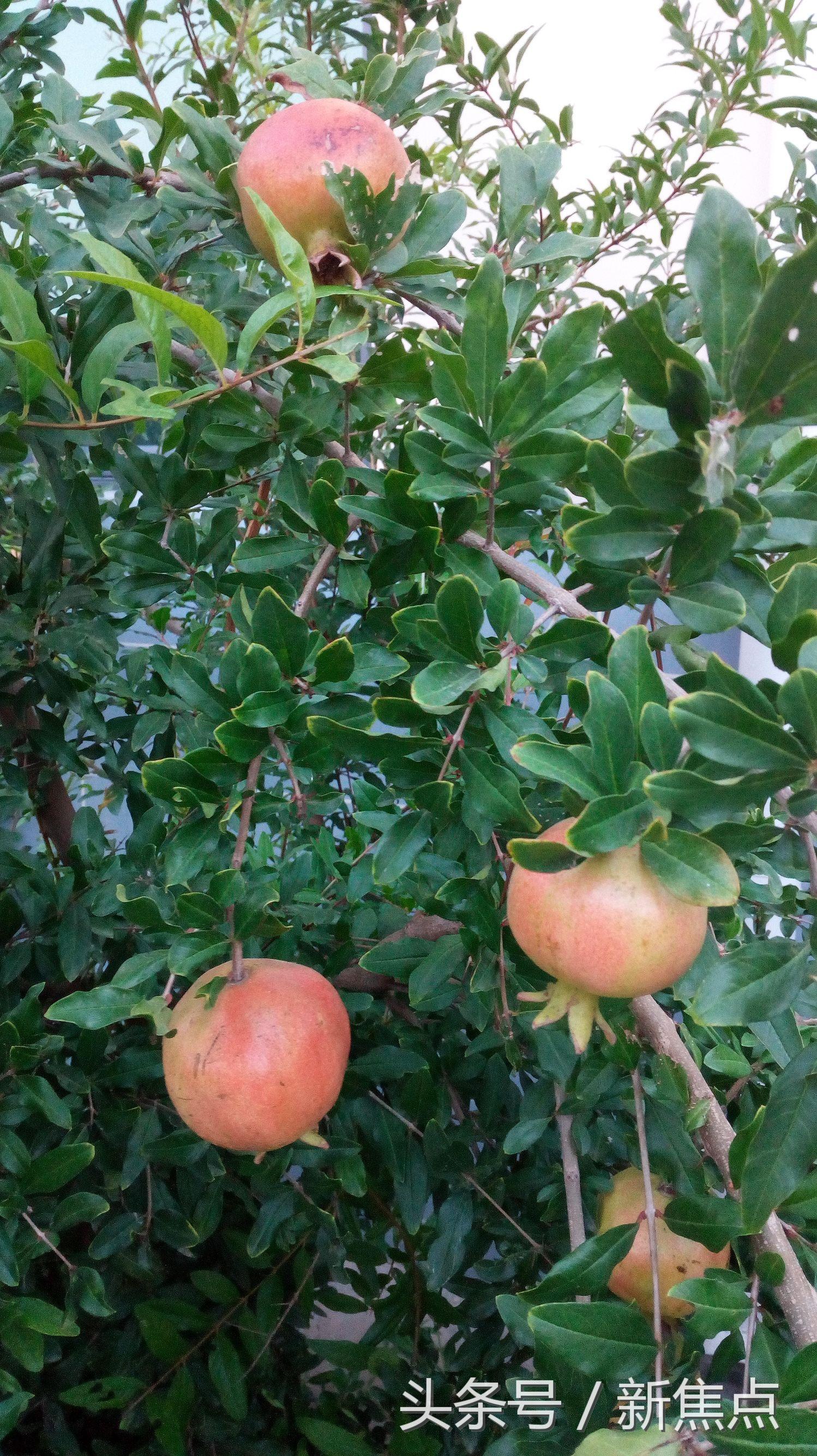 十大急性炎症2025年排行榜前十名榜单出炉 十大急性炎症2025年排行榜前十名榜单出炉