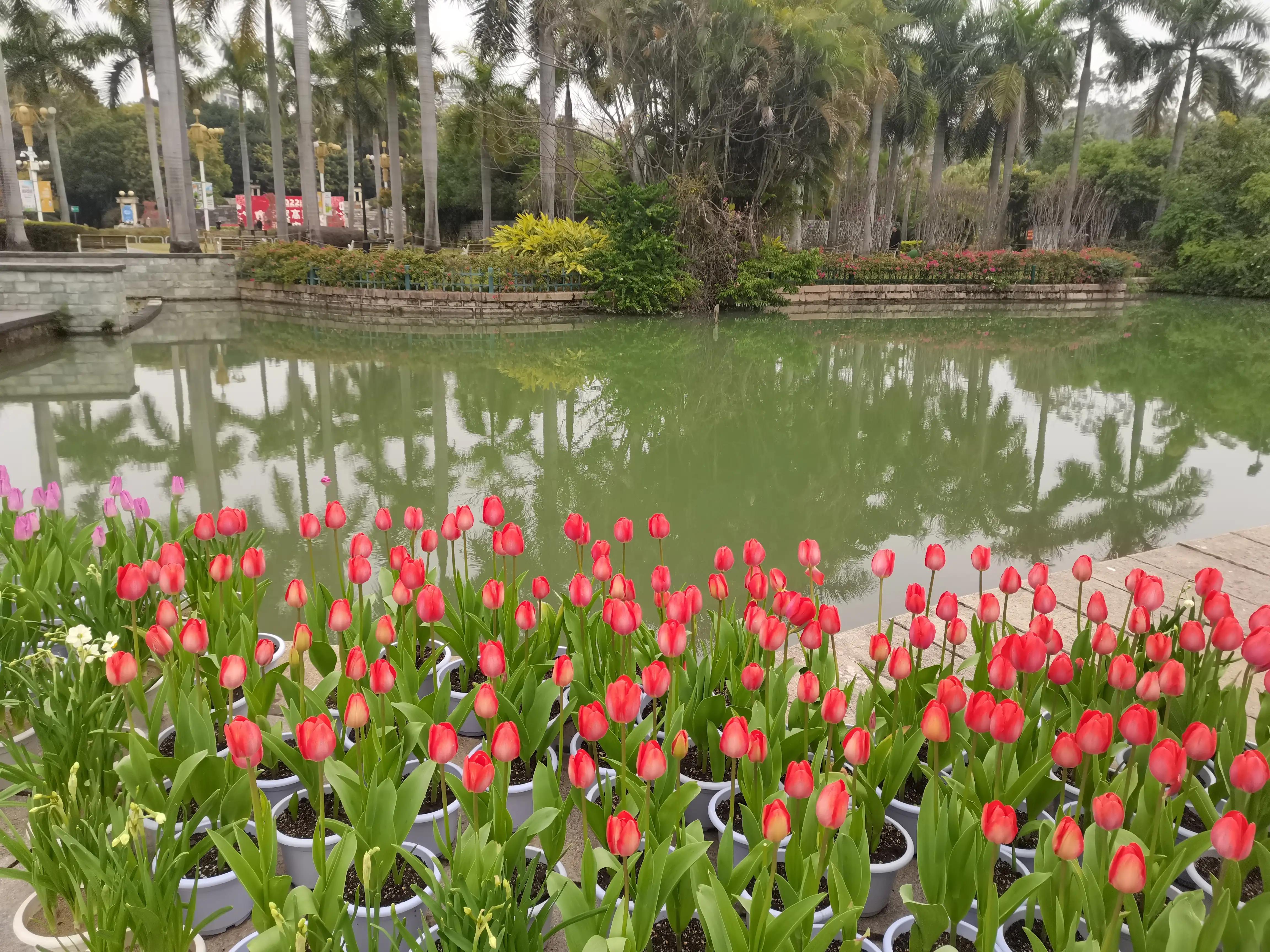 福州十大温泉2025年排行榜前十名榜单出炉