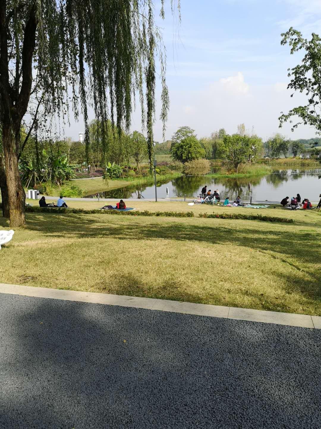 成都十大城市公园2025年排行榜前十名榜单出炉 成都十大城市公园2025年排行榜前十名榜单出炉