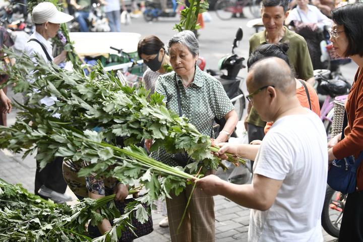 杭州十大适合端午旅游的地方2025年排行榜前十名榜单出炉