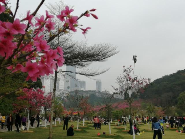 南宁十大免费景点2025年排行榜前十名榜单出炉