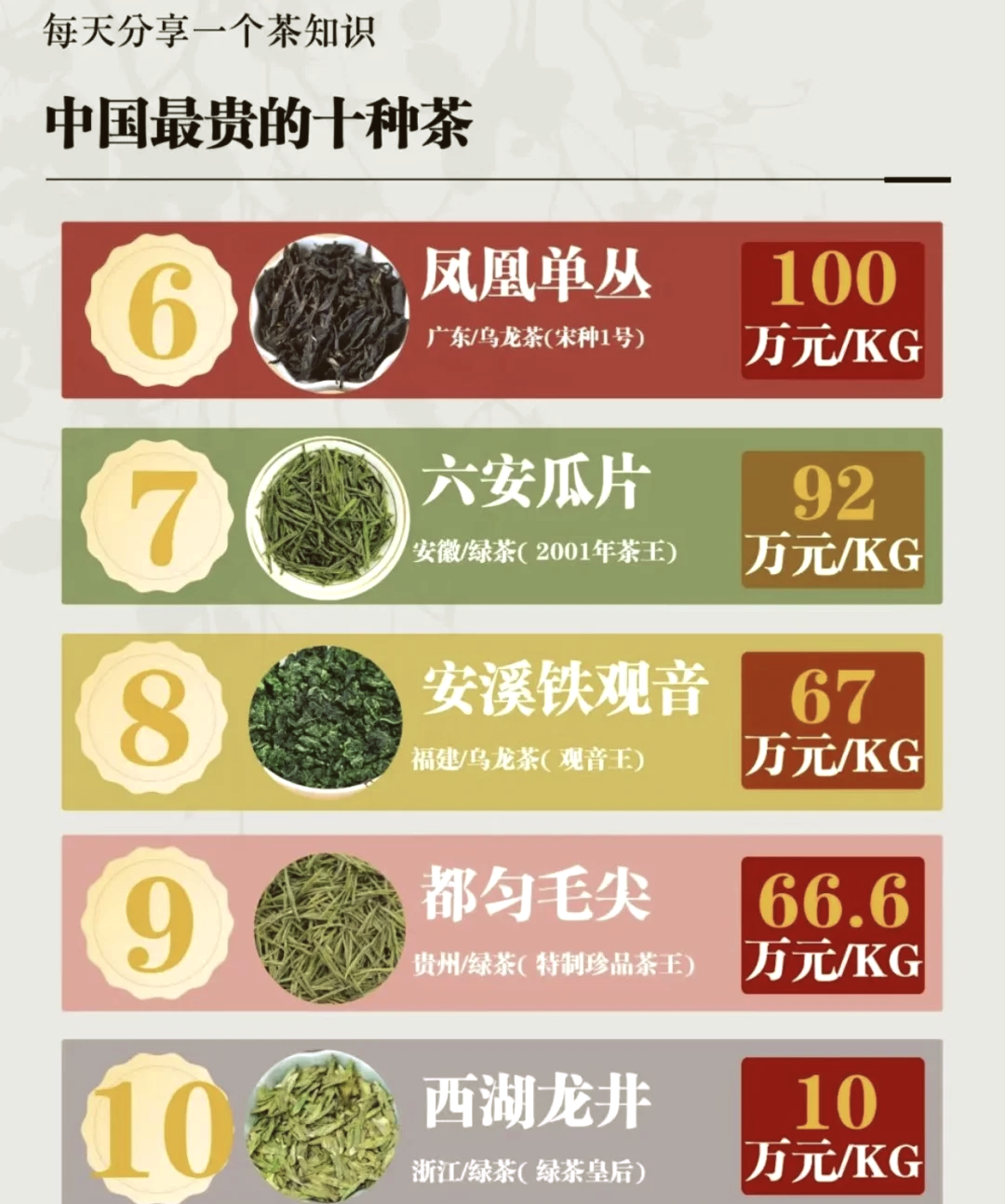 兰花十大品种2025年排行榜前十名榜单出炉