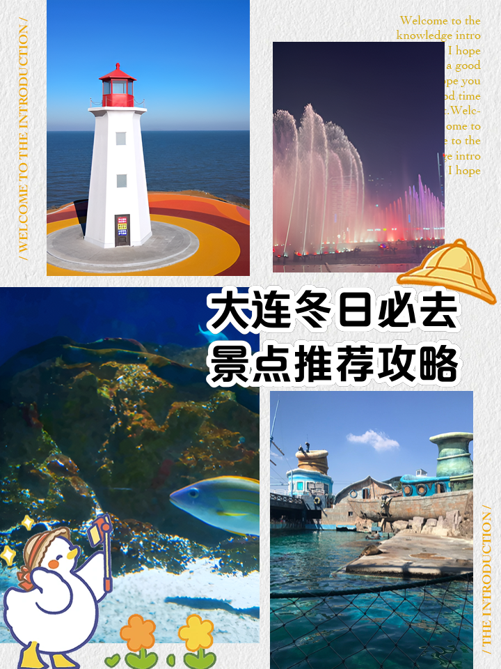 大连十大冬季旅游好去处2026年最新热度口碑双榜对比