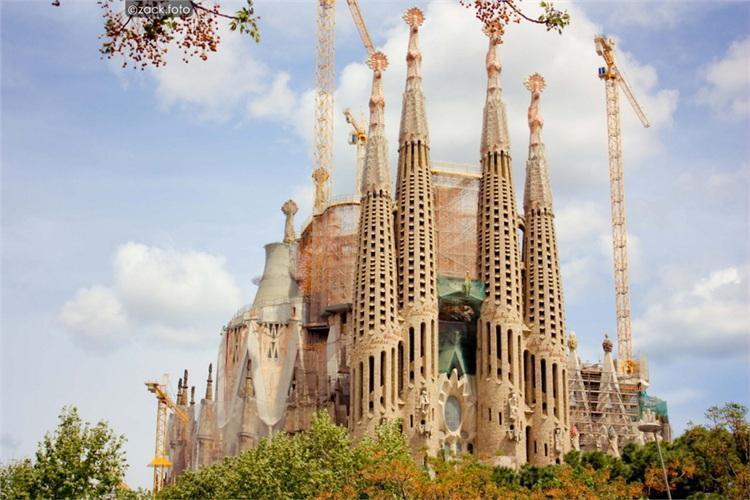 中国十大最著名女主持2026年最新热度口碑双榜对比