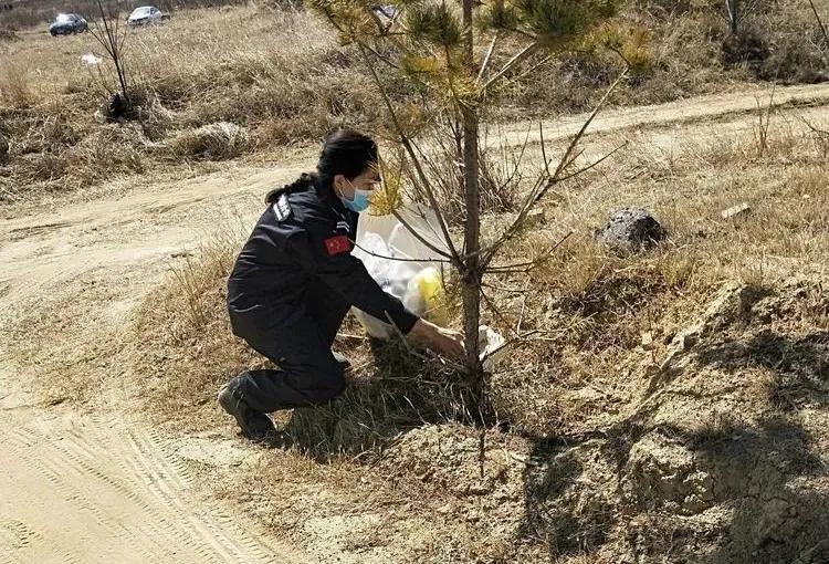内蒙古清明节旅游的地方2026年最新热度口碑双榜对比 内蒙古清明节旅游的地方2026年最新热度口碑双榜对比