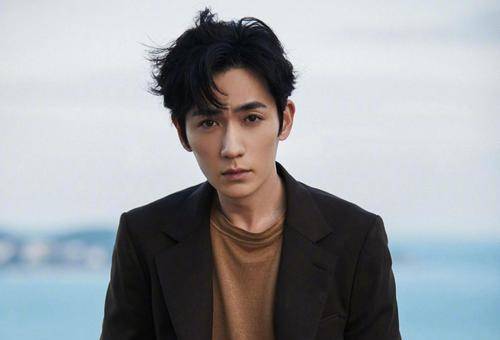 中国获奖最多电视剧男星2026年最新热度口碑双榜对比