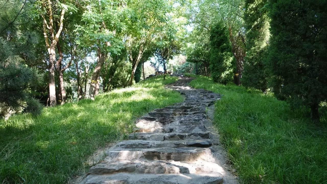 石家庄十大游乐园2026年最新热度口碑双榜对比