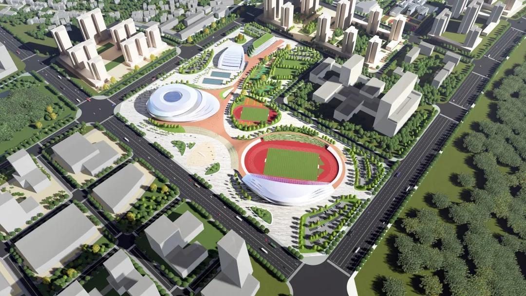 中国十大最帅跳水男运动员2026年最新热度口碑双榜对比