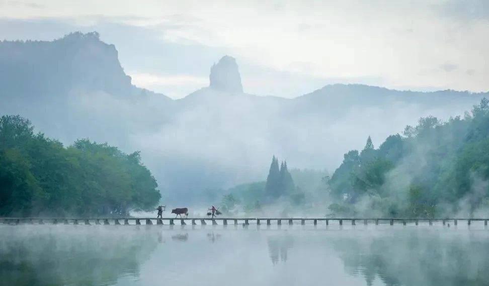 大陆四大天后2026年本年度热度口碑双榜对比 大陆四大天后2026年本年度热度口碑双榜对比