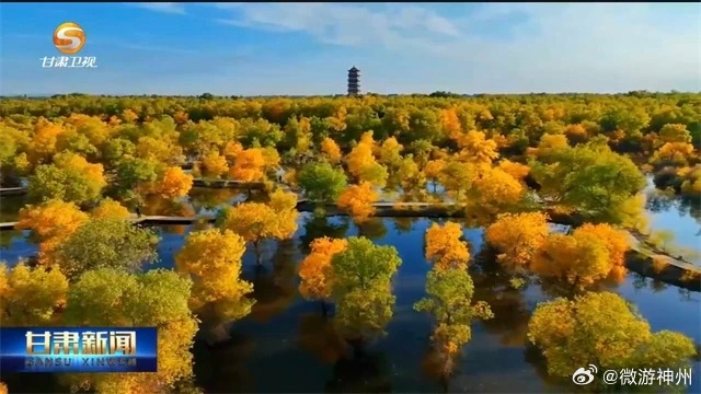 中国十大最美胡杨林2026年最新热度口碑双榜对比