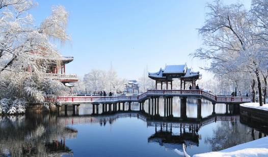 合肥十大夏季旅游好去处2026年最新热度口碑双榜对比