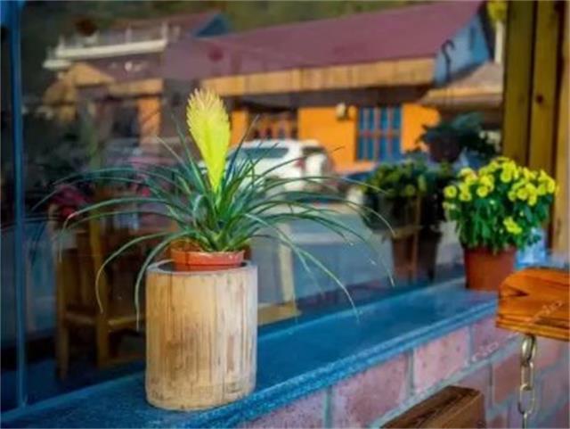 安徽十大著名度假村2026年最新热度口碑双榜对比