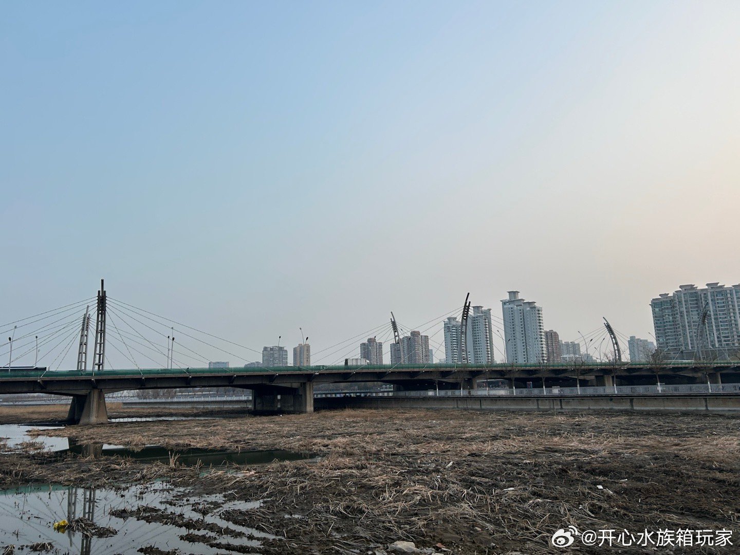 石家庄十大现代桥梁2026年最新热度口碑双榜对比