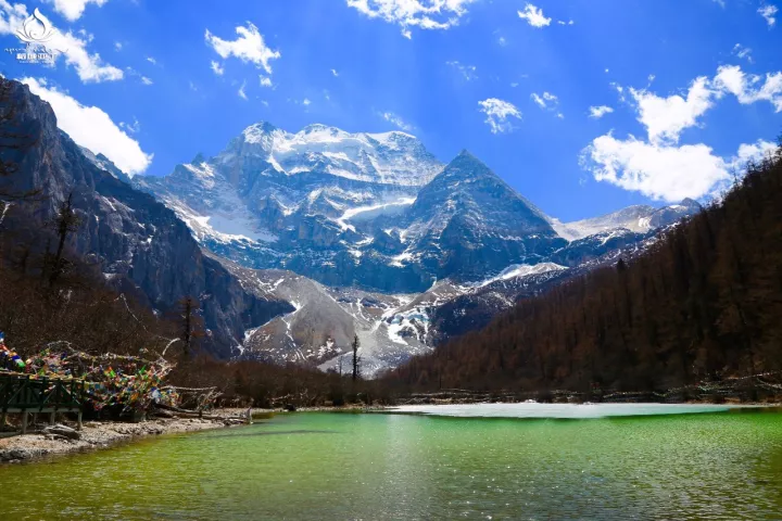 四川稻城亚丁十大特产2026年最新热度口碑双榜对比