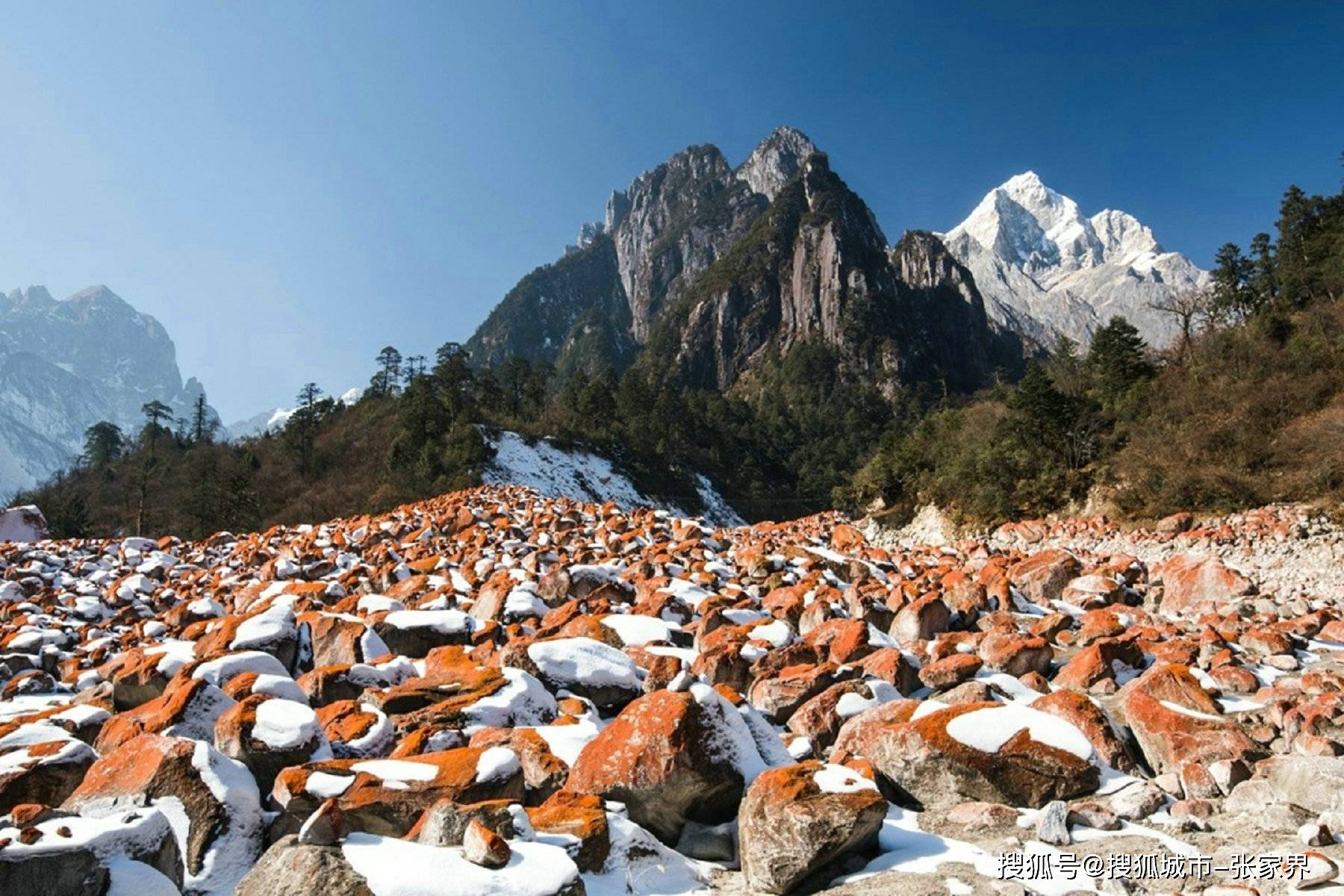 四川稻城亚丁十大特产2026年最新热度口碑双榜对比