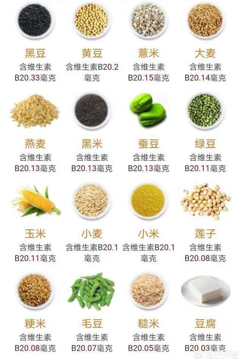 十大富含维生素b2的食物2026年最新热度口碑双榜对比