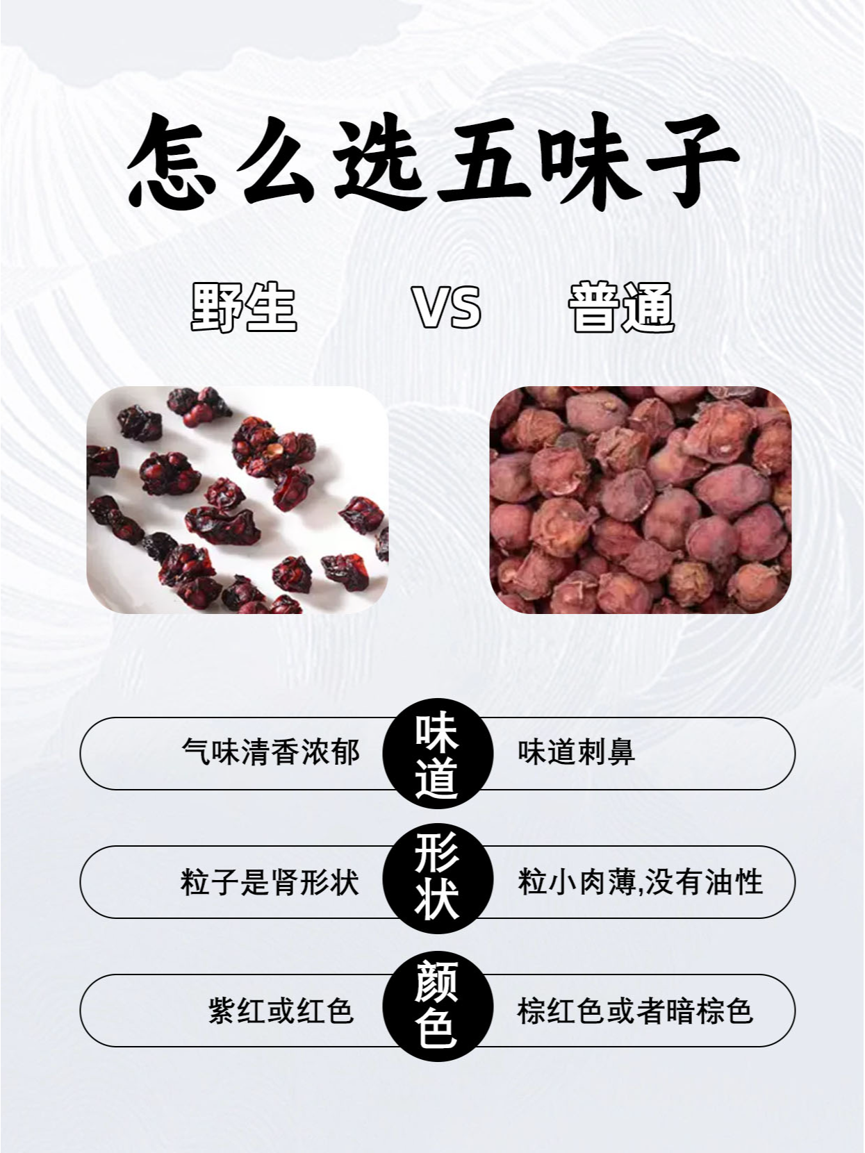 十大五味子产地2026年最新热度口碑双榜对比