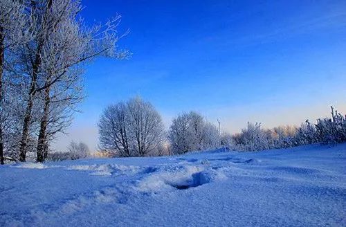 秦皇岛适合看雪的地方2026年最新热度口碑双榜对比 秦皇岛适合看雪的地方2026年最新热度口碑双榜对比