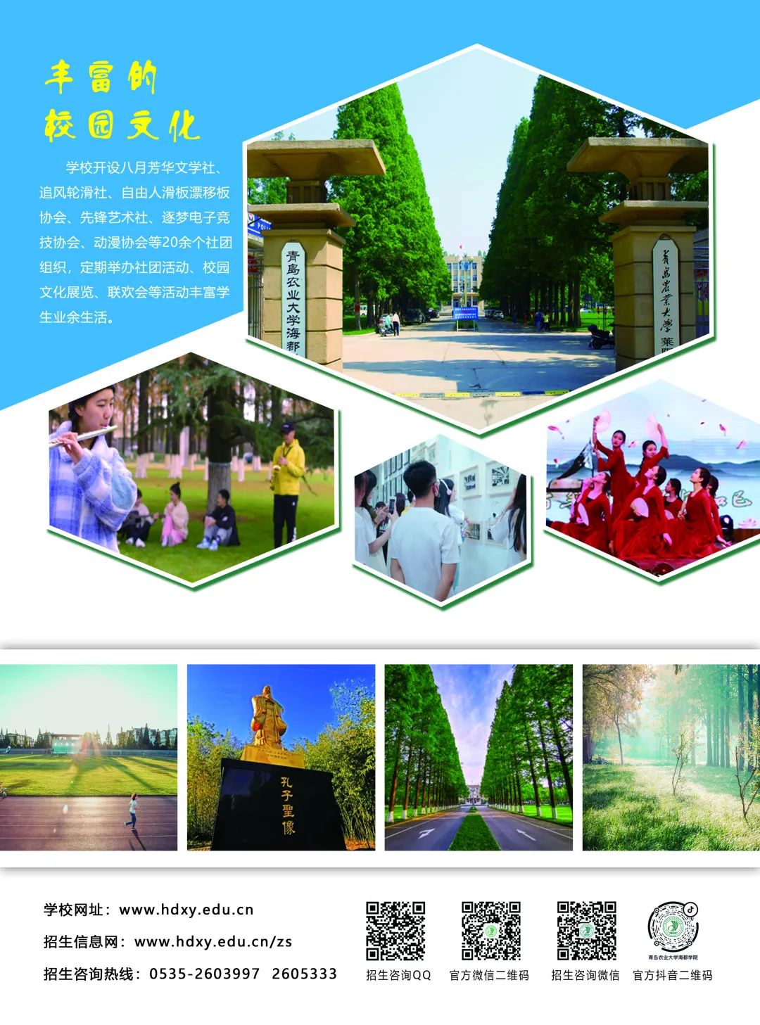 2026年青岛农业大学海都学院招生章程