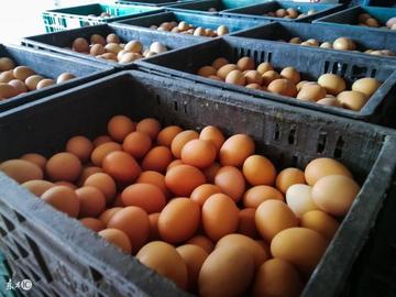 天津十大批发市场2026年最新热度口碑双榜对比